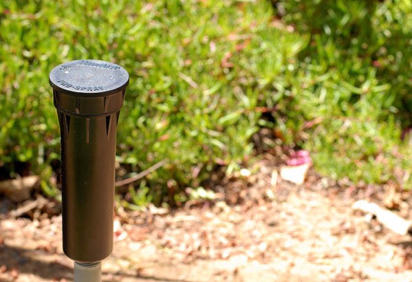 Capac aspersor hunter pentru Pro Spray